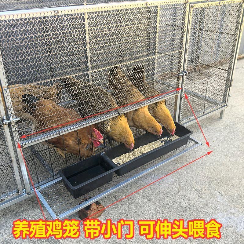 琪琪农厂🏝