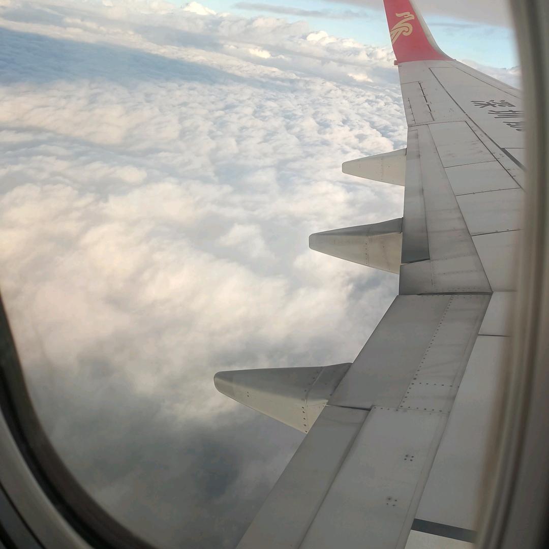 我的快乐就是想你