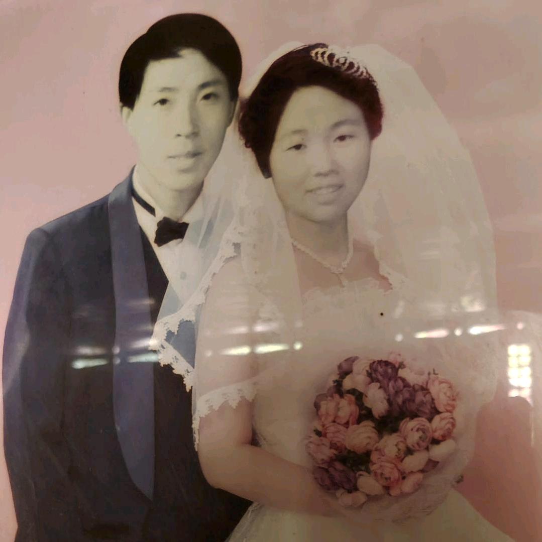 雪花飘