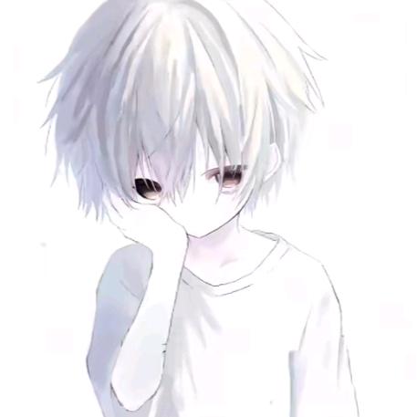 诺晨（百评国一海诺）