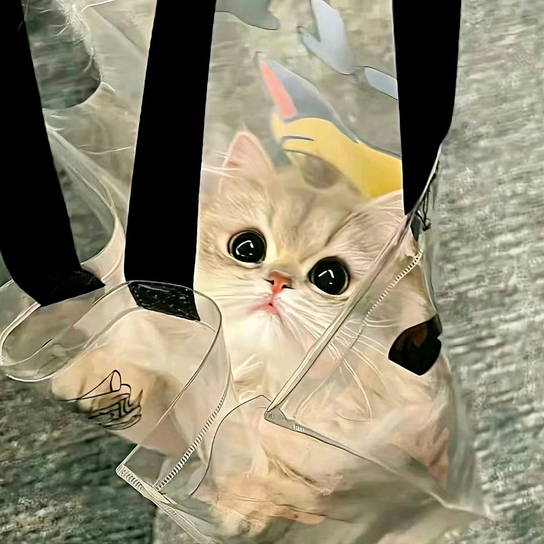 ᥫᩣ.啾一口奶膘灬猫猫⁰⁴⁵¹