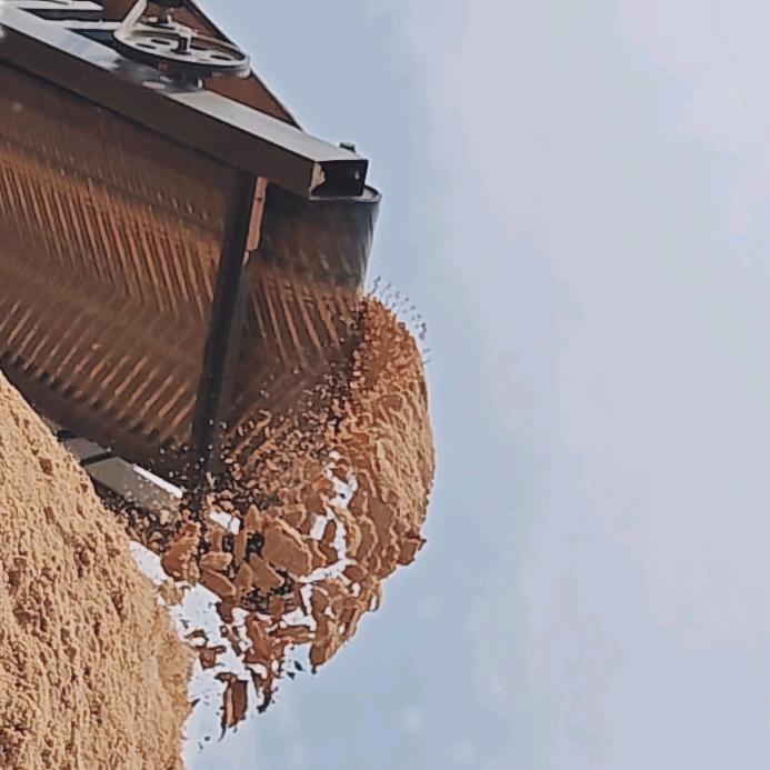 大量出售小黄沙