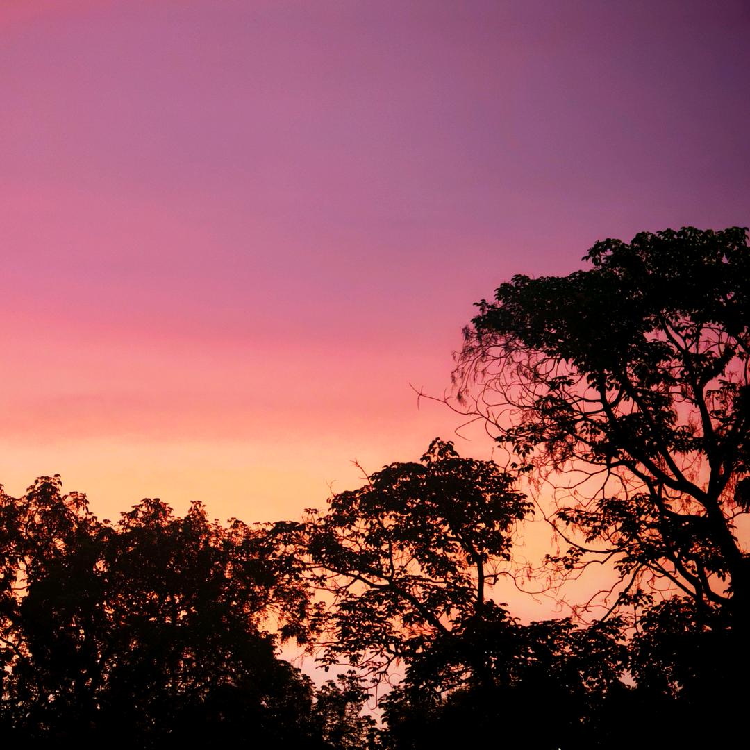 魑魅魍魉魁魈魖鬾魆魋魊魌魓鬿鬽魗