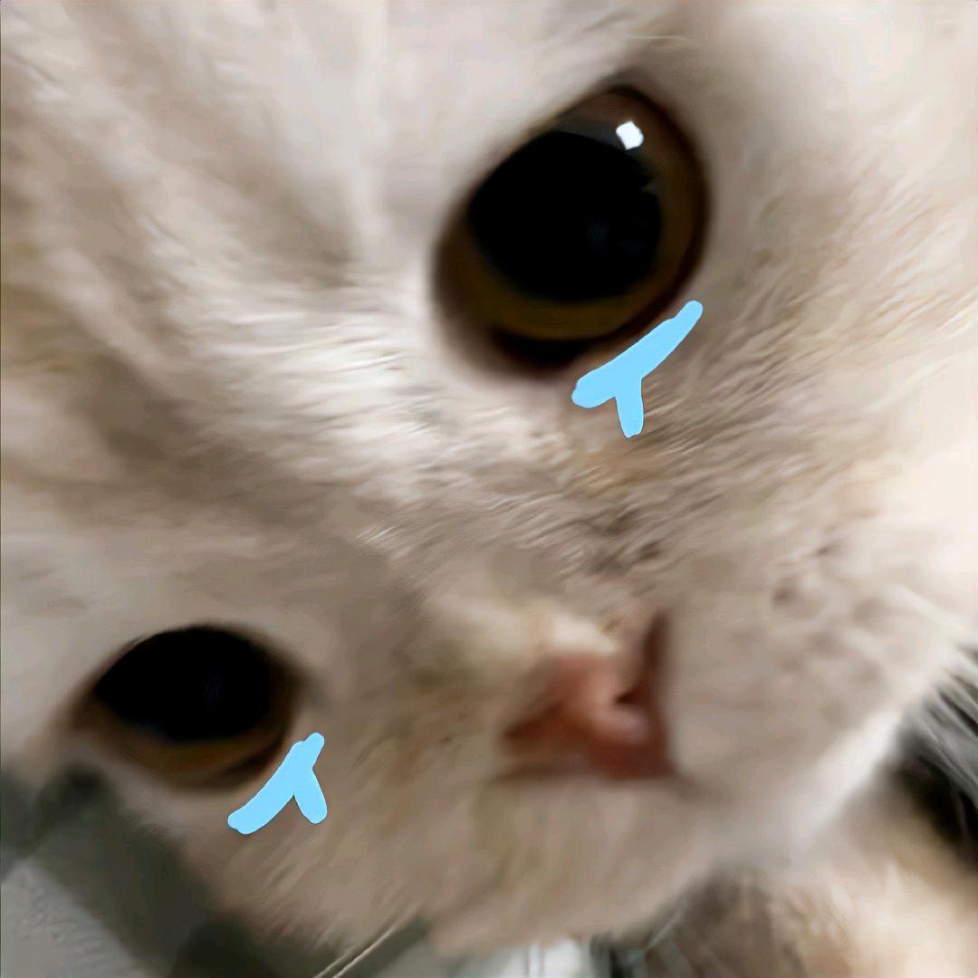林宛瑜