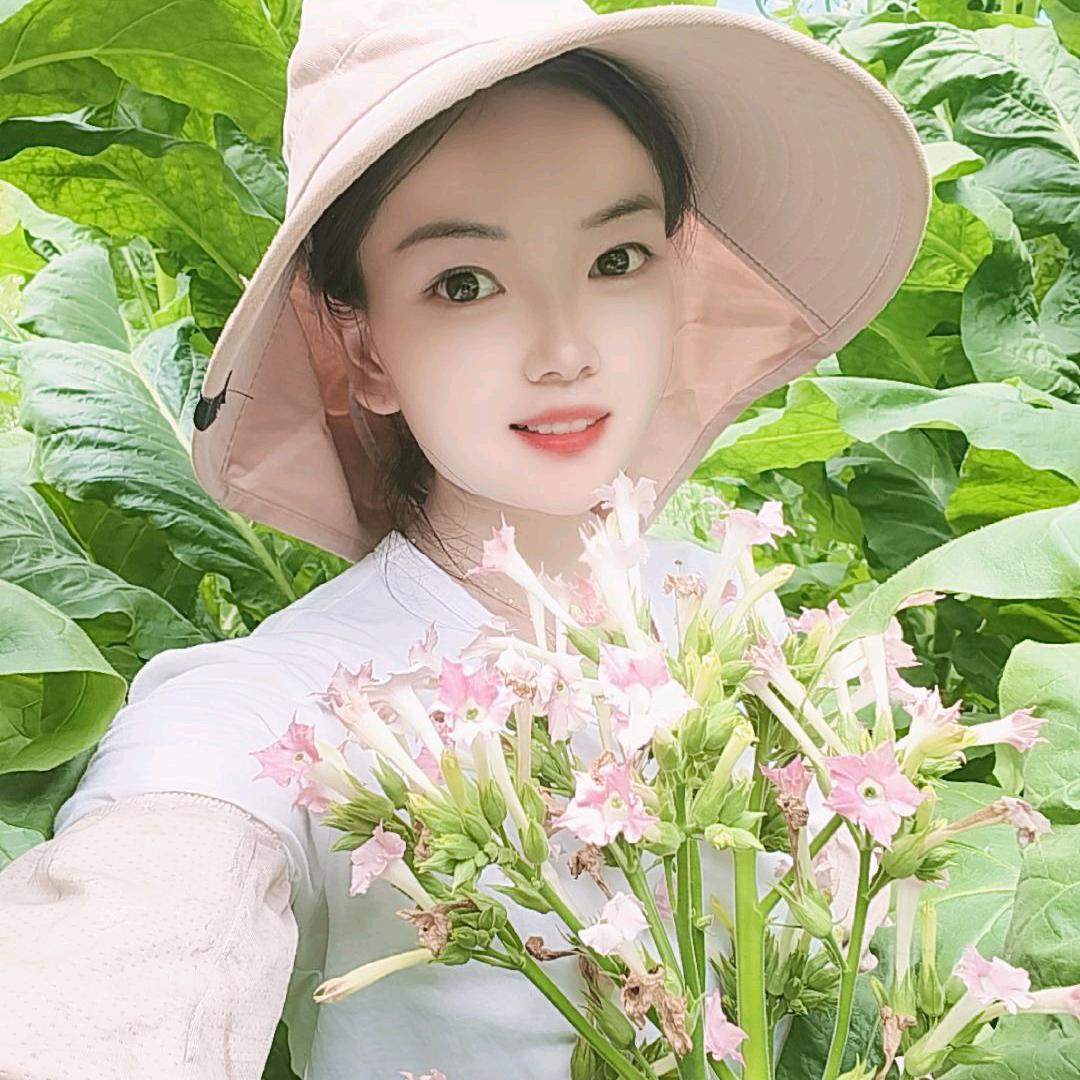 张雅