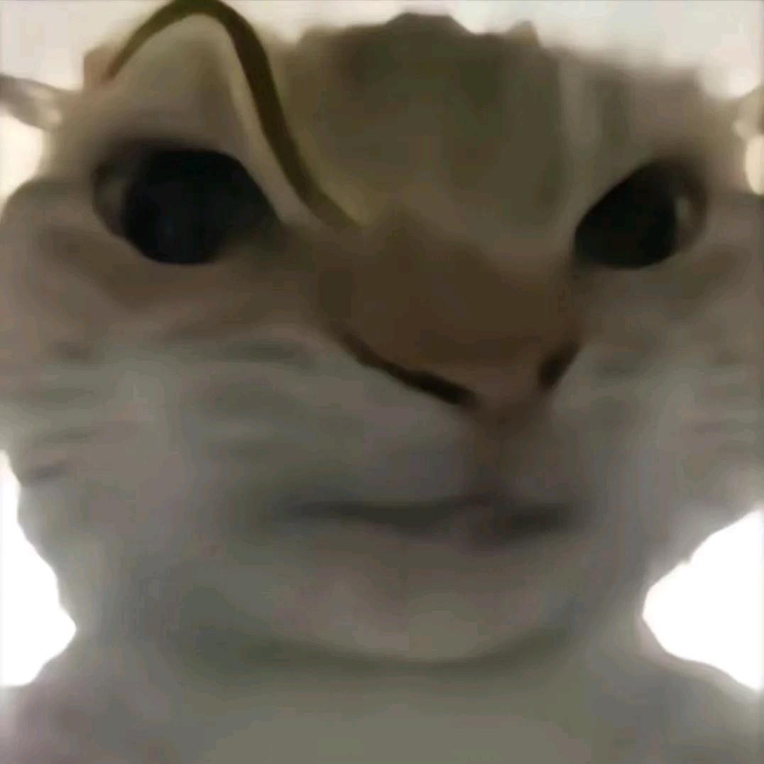 广辞