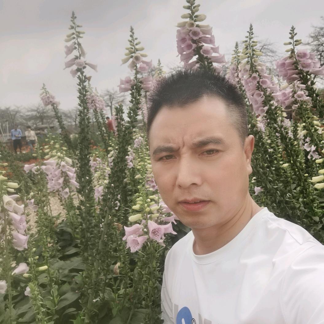 任我行