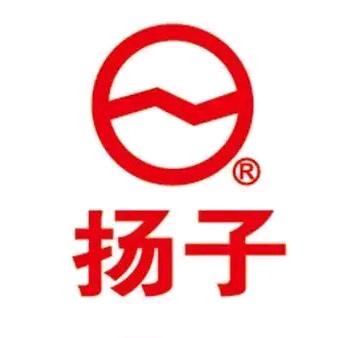 扬子传媒