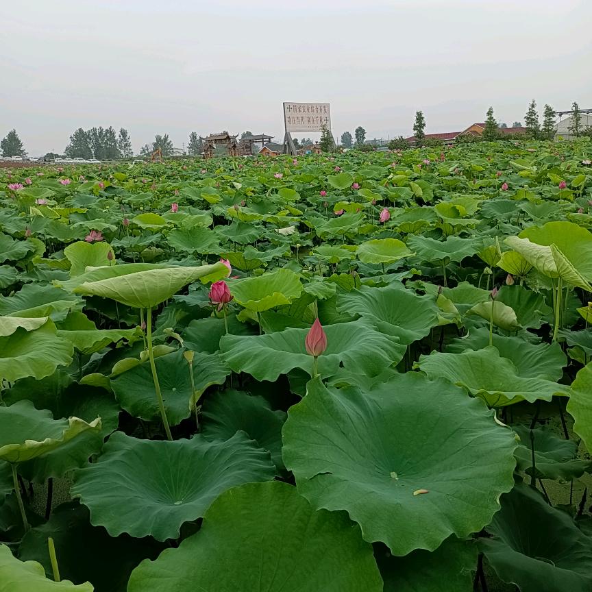 过好每一天