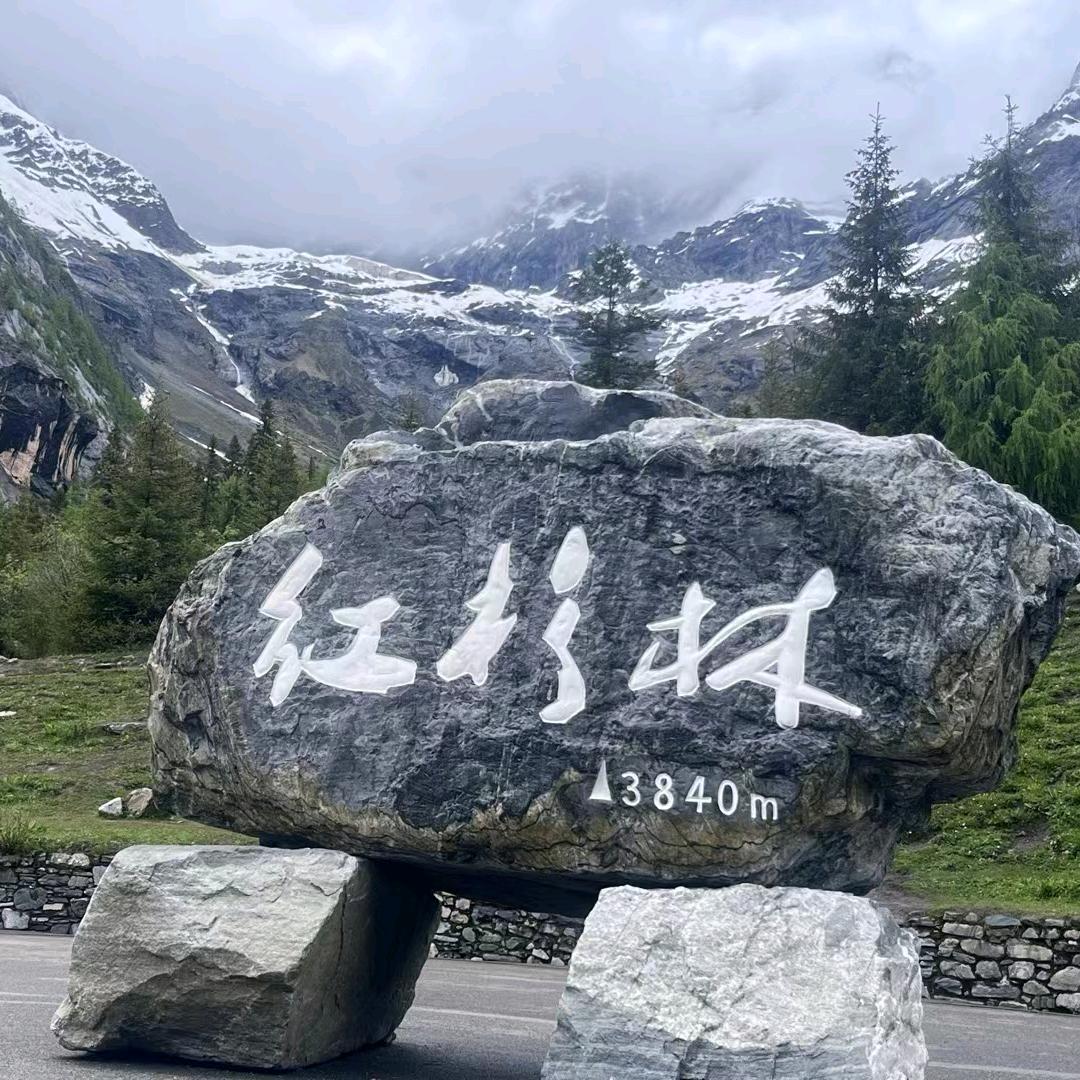 阳阳阳哥