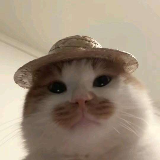 重生之我是胡辣汤（接互勉拍照版）