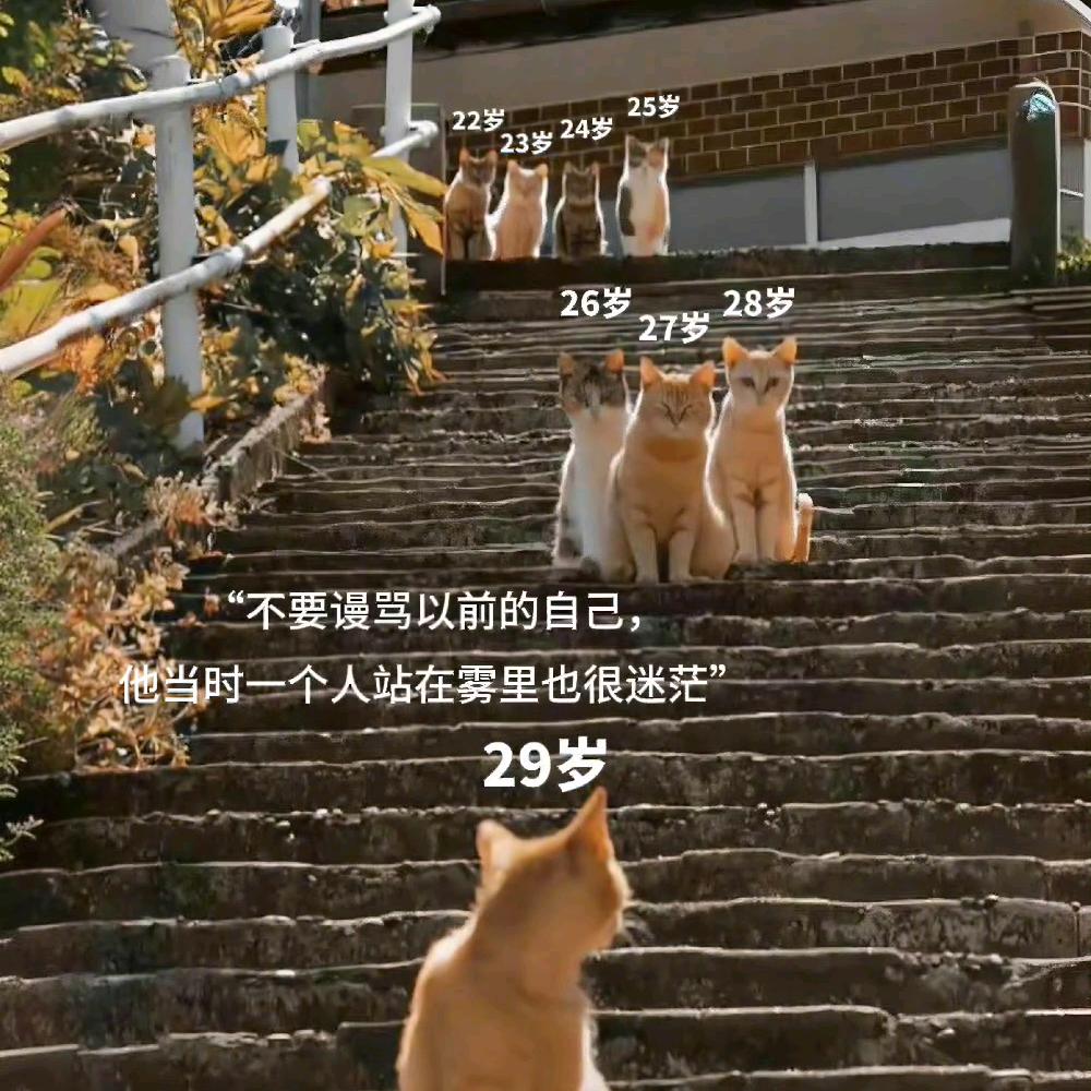 昵称已重置…嘿嘿