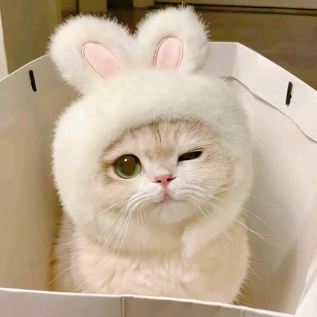 𝓶𝓲𝓻𝓪𝓲𝓽𝓸𝔀𝓪