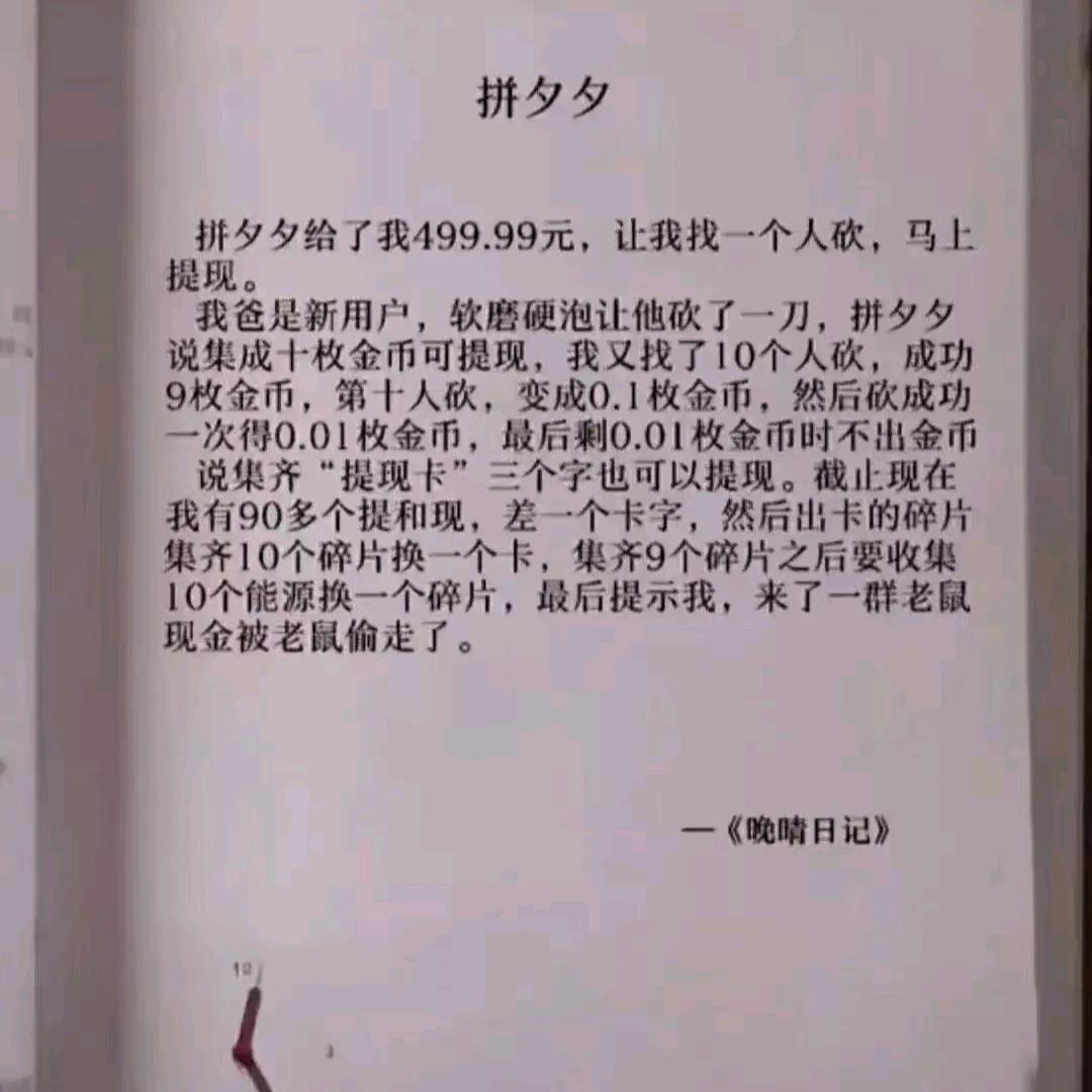 小不点