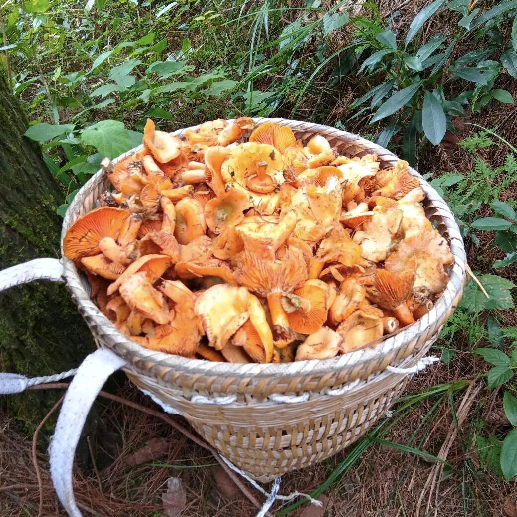 专业疏通管道
