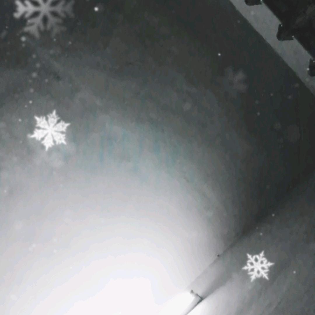 我是王电