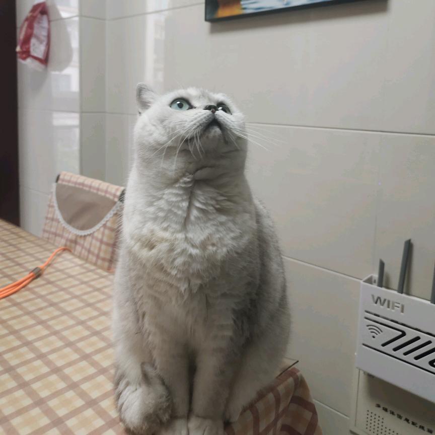 泰兴三哥
