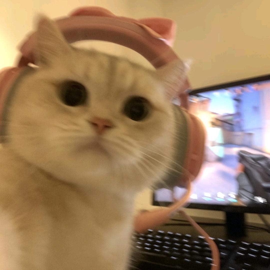 🎧