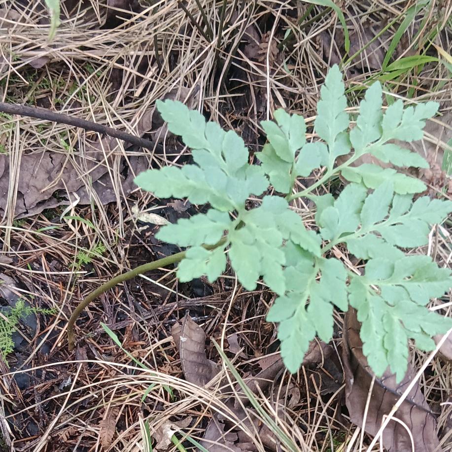 没有我你还剩什么