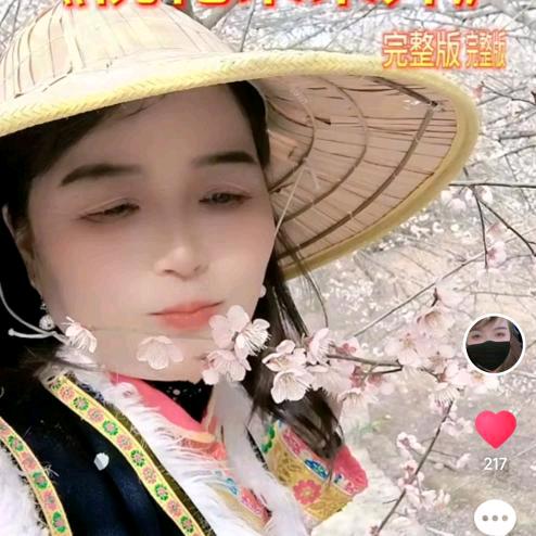 玉兔🐇兔