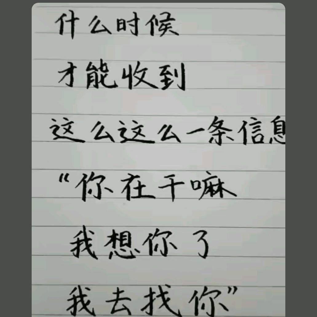 地瓜一小黄
