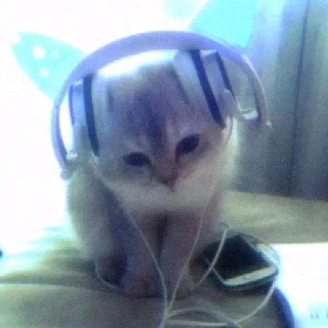 忧郁小猫猫