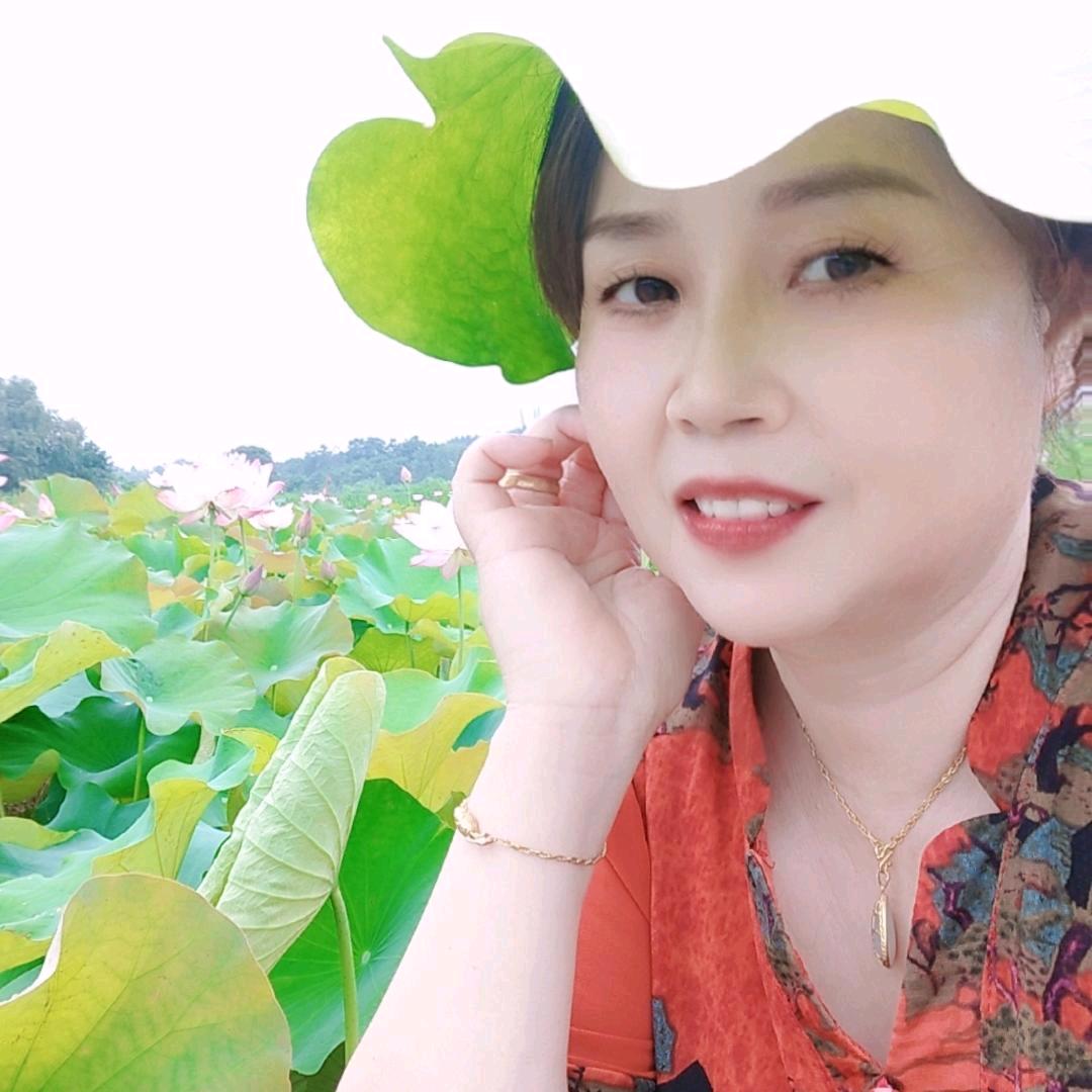 荷花飘香