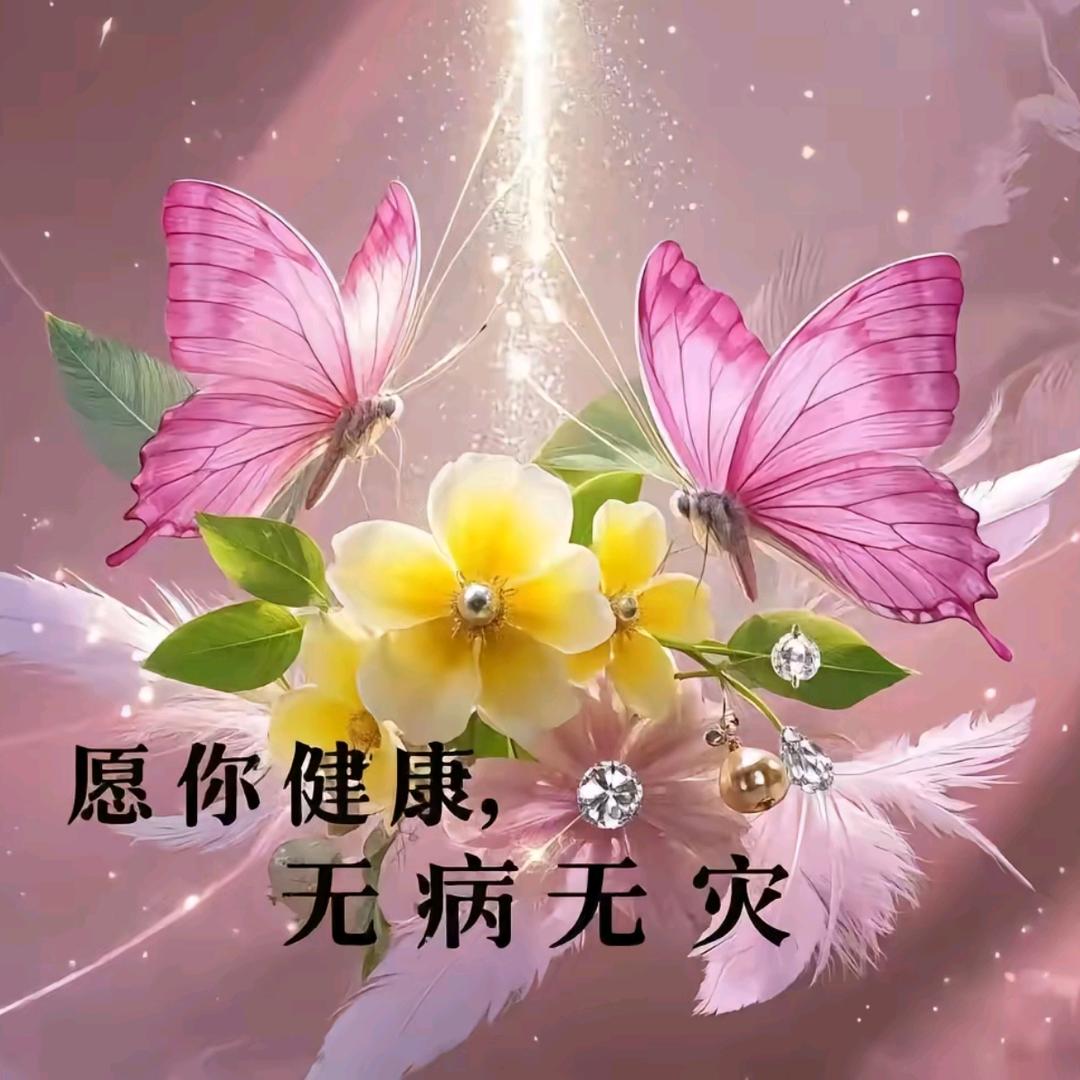 懂你（好物在橱窗）