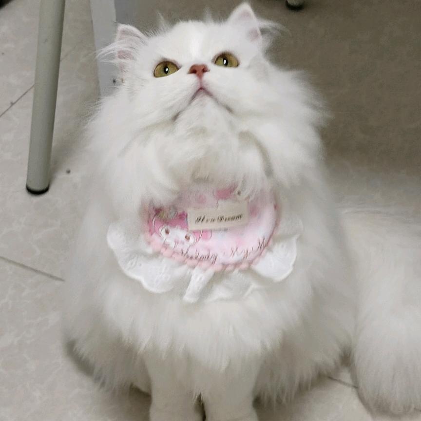 超级无敌爱吃螺蛳粉