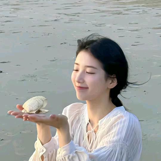 汪汪仙贝