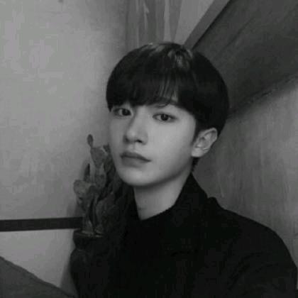 aaaa.t