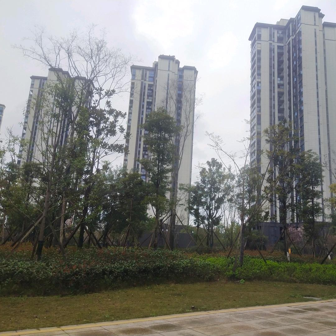 莲子&宜宾新房二手房