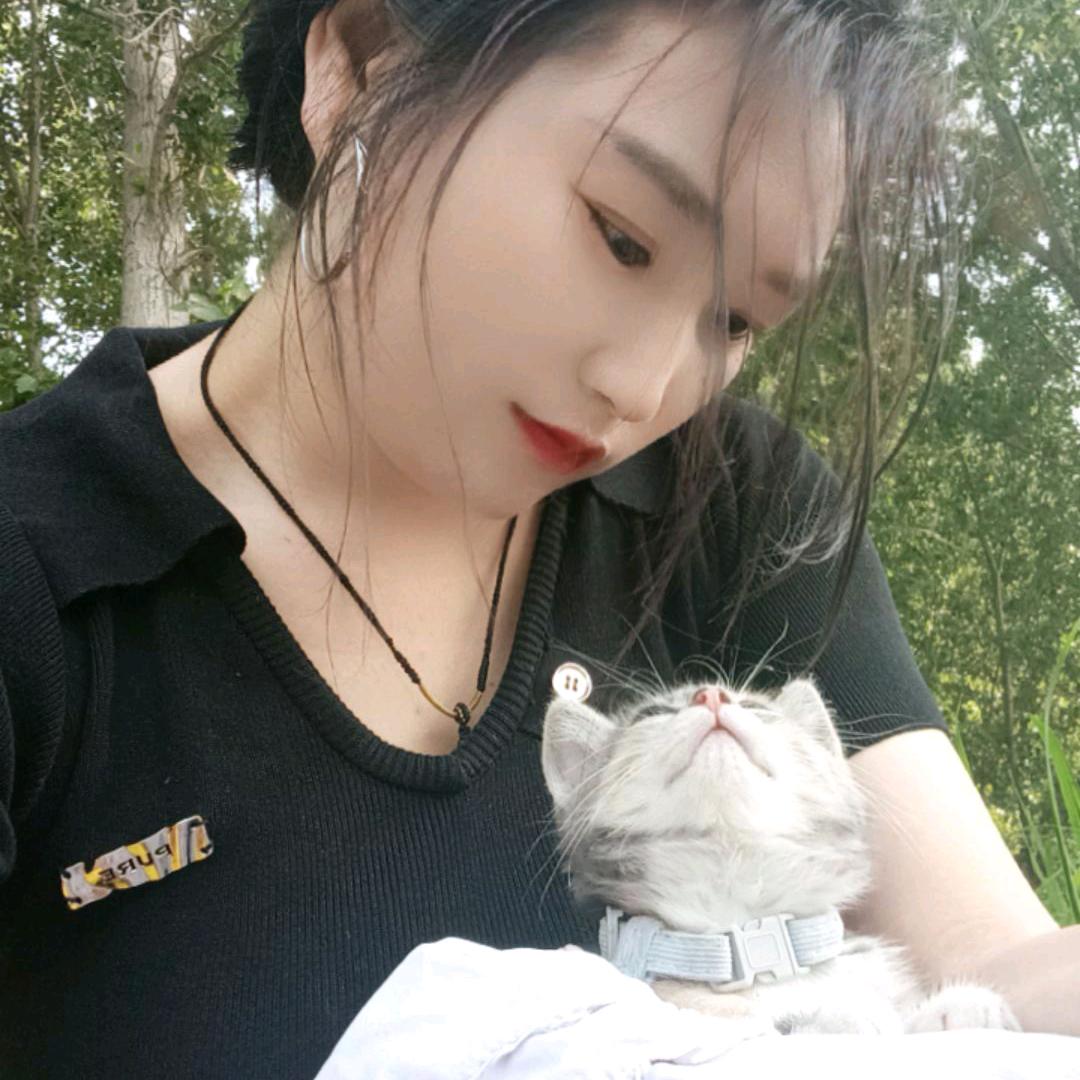 小野猫