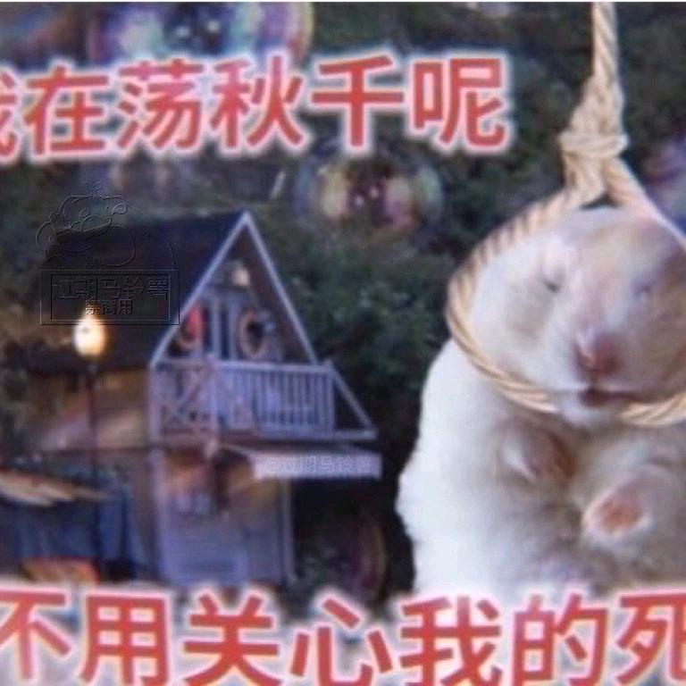 学emo的一个饭桶