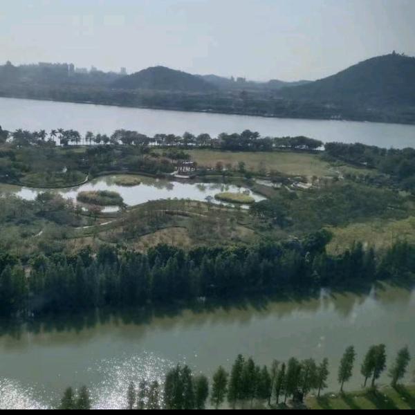 自然的状态🌏摆烂