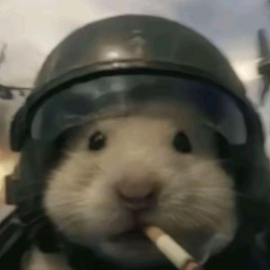 陈平安🎐