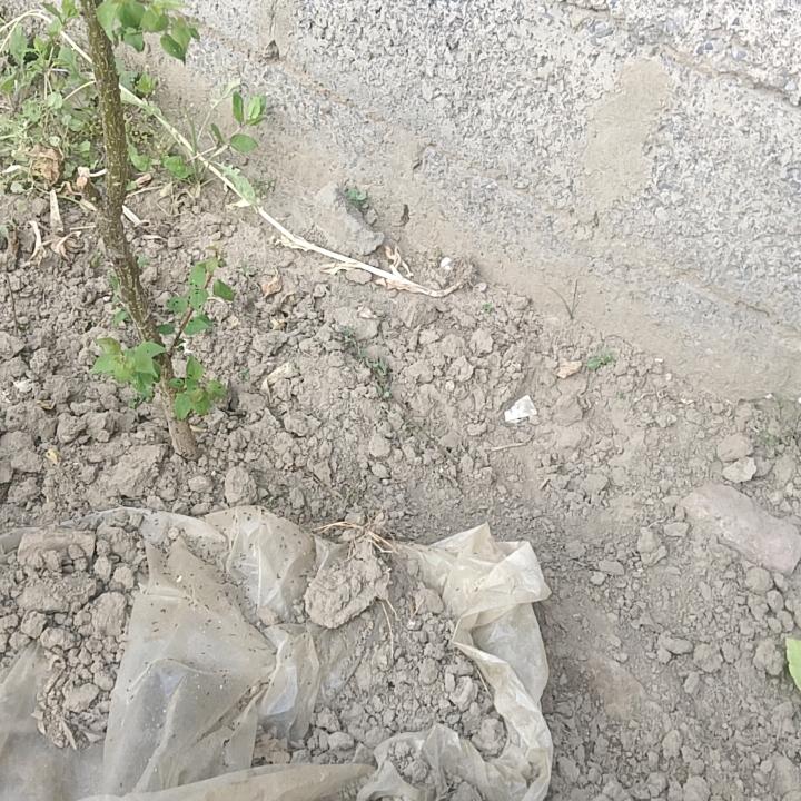 悠哉人生
