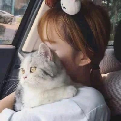 "包oО﹎
