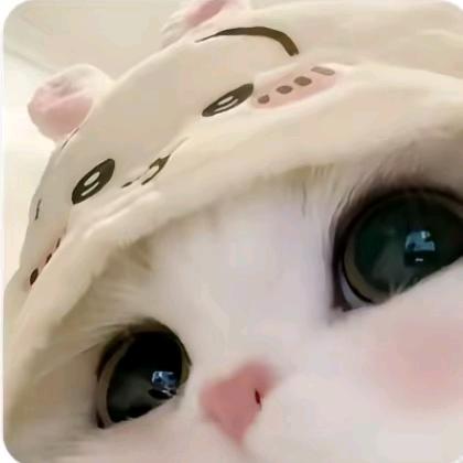 摆渡人