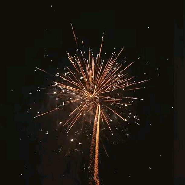 🌹糖果不甜🌹