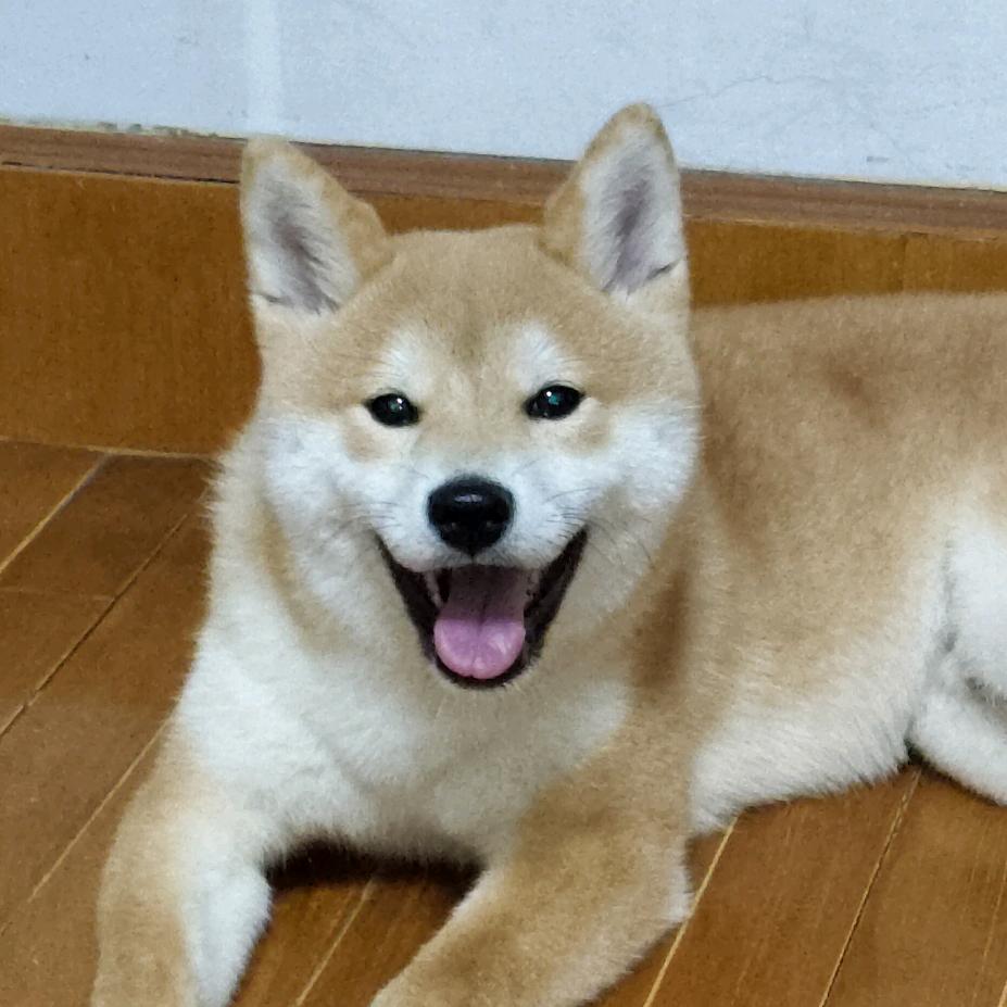 Jack顾