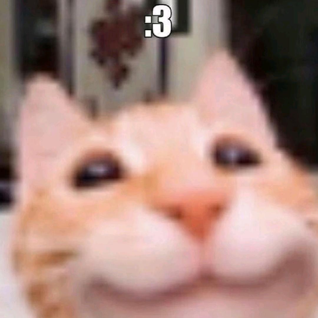 去码头整点薯条