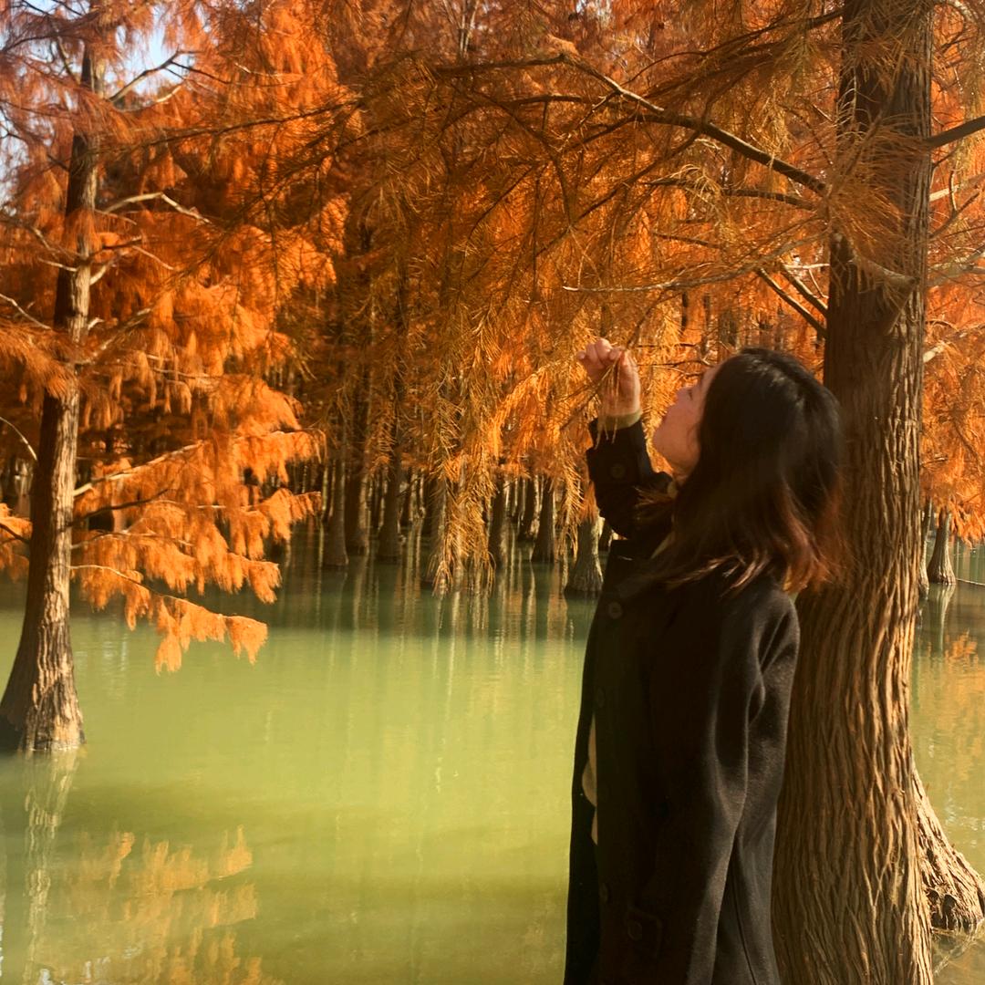 🍎能吃是福🍔