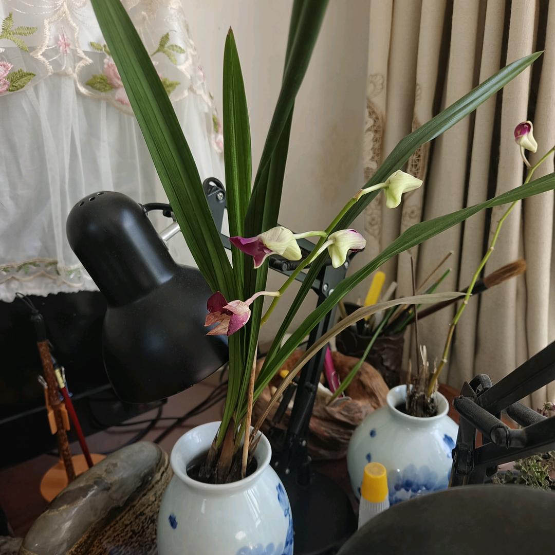 潍坊电通自动化技术有限公司