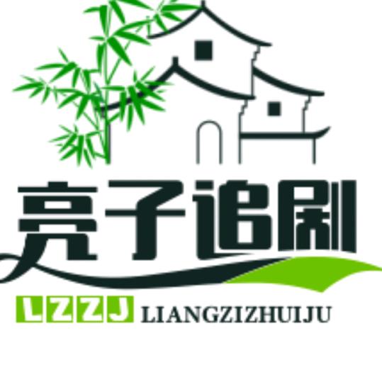 亮子追剧