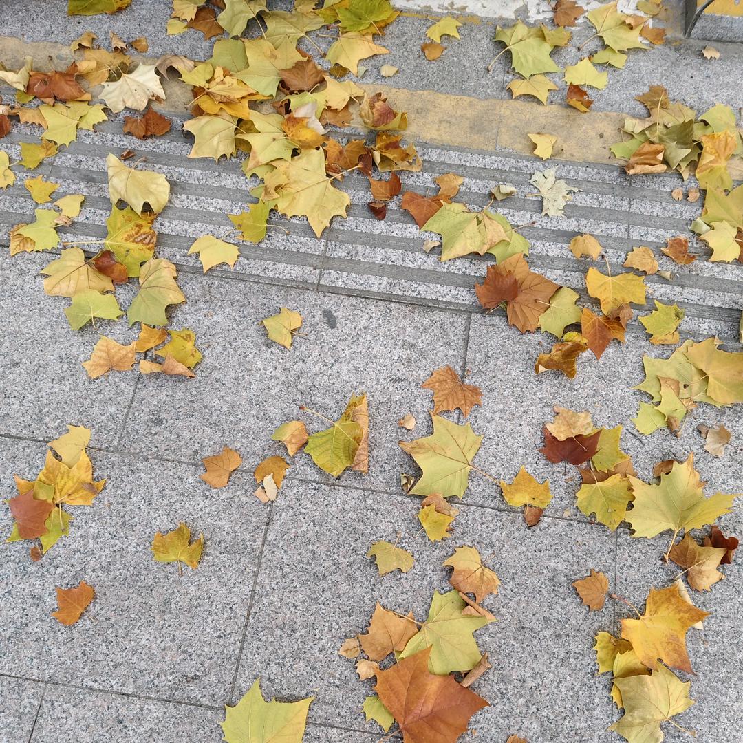 时光^O^