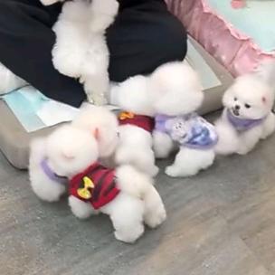 用户673548558565854