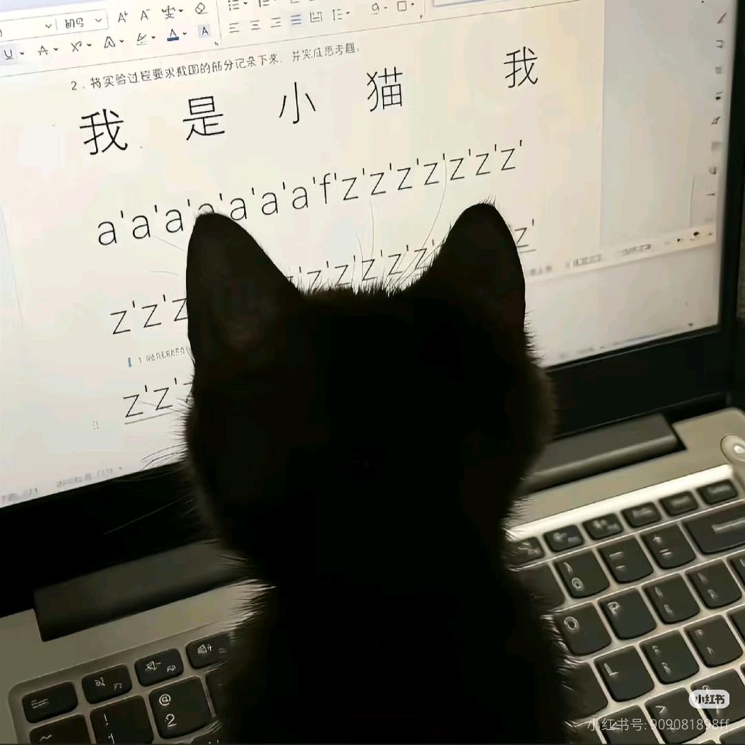 凌点凌