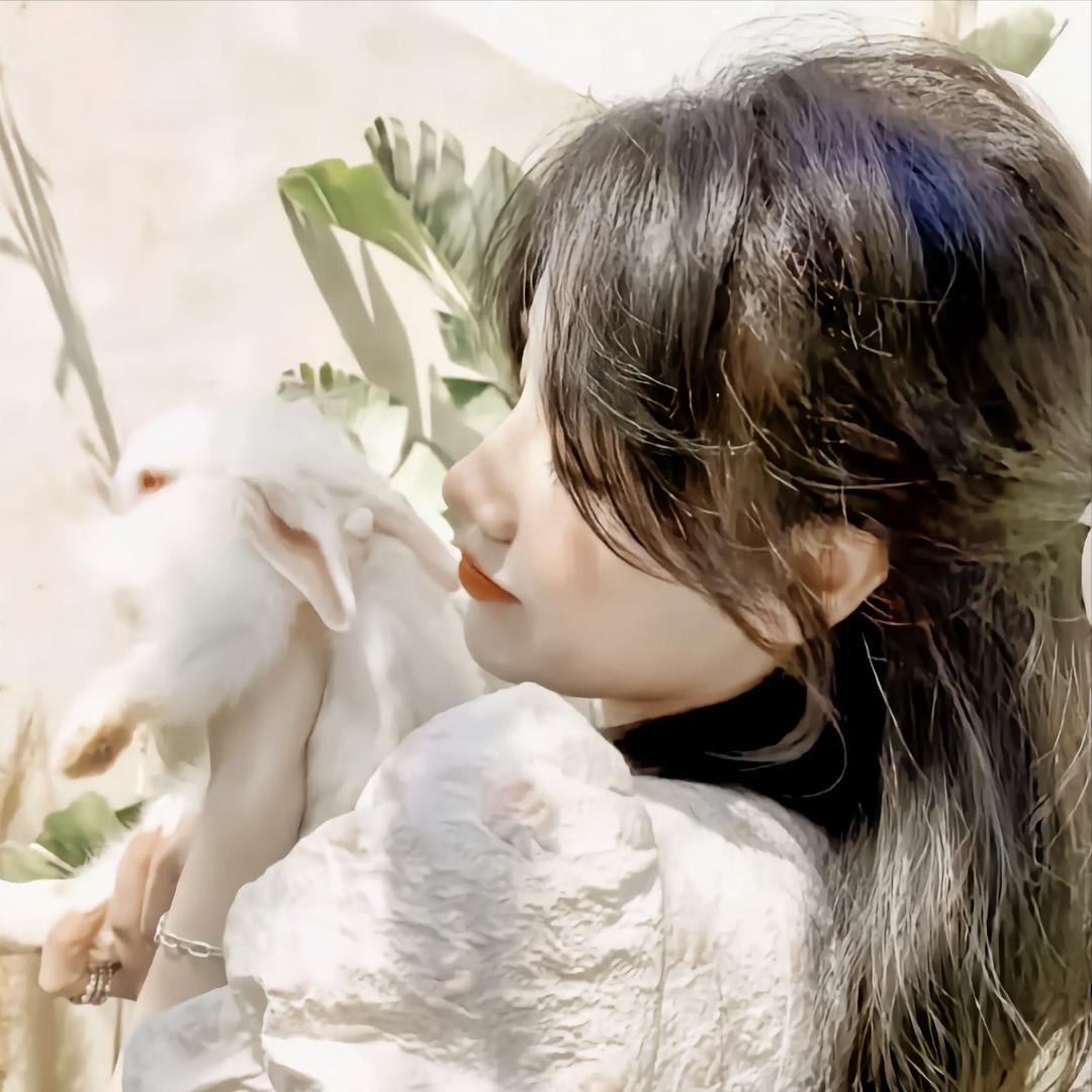 半夏柒月🥰