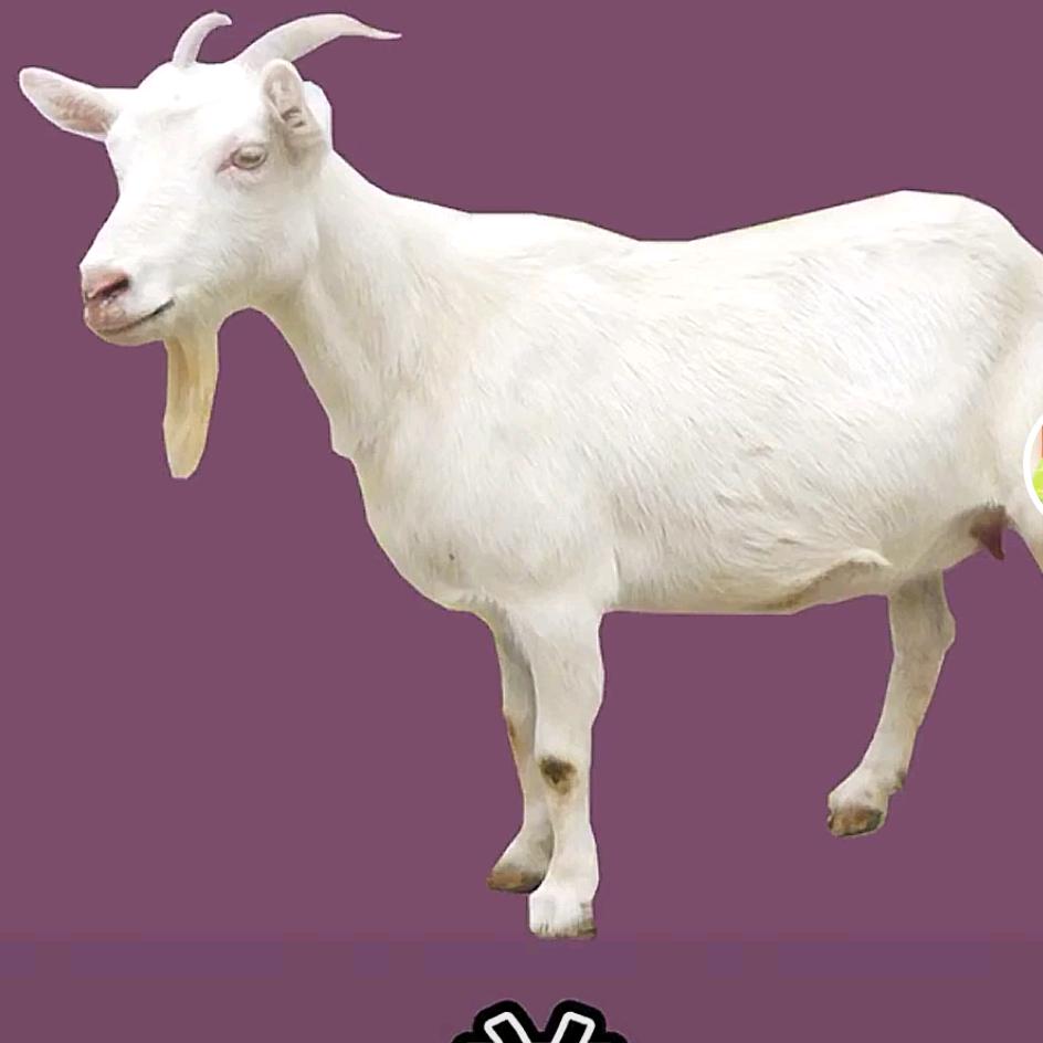 ❤️雨过天晴❤️